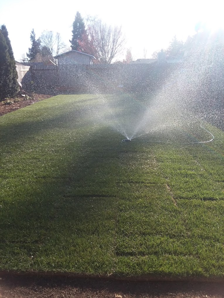Sprinkler on lawn