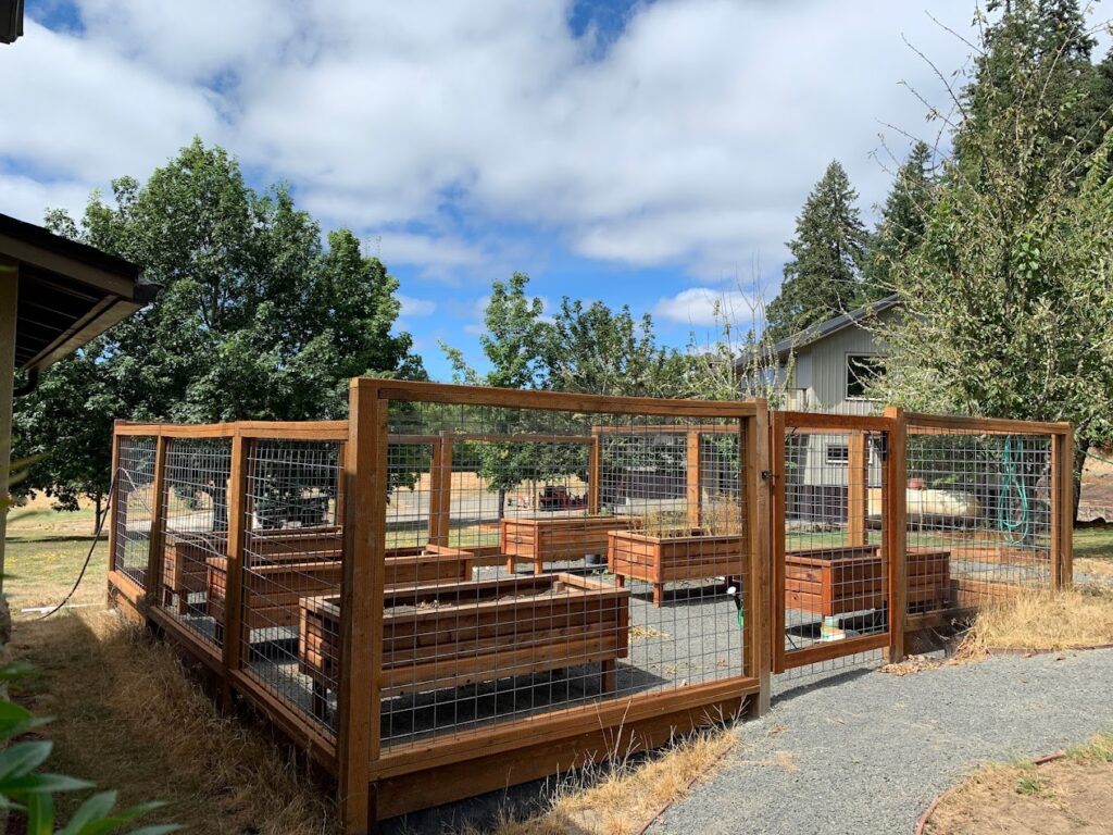 Walkway and raised garden beds